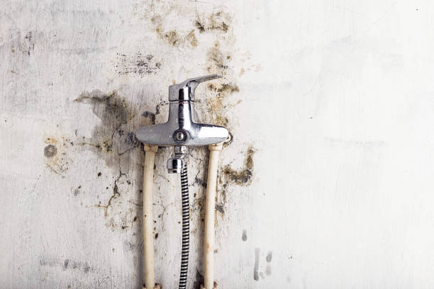 Best Mold Cleaning Services  in Antioch, CA