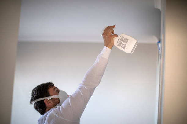 Best Emergency Mold Removal  in Antioch, CA