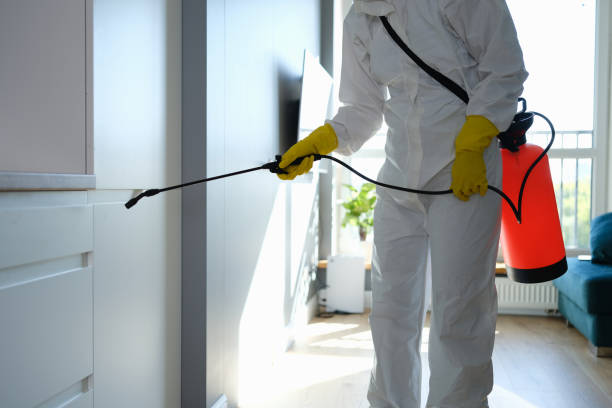 Best Crawl Space Mold Removal  in Antioch, CA