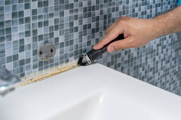 Best Best Mold Removal Companies  in Antioch, CA