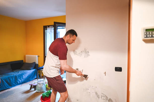 Crawl Space Mold Removal in Antioch, CA